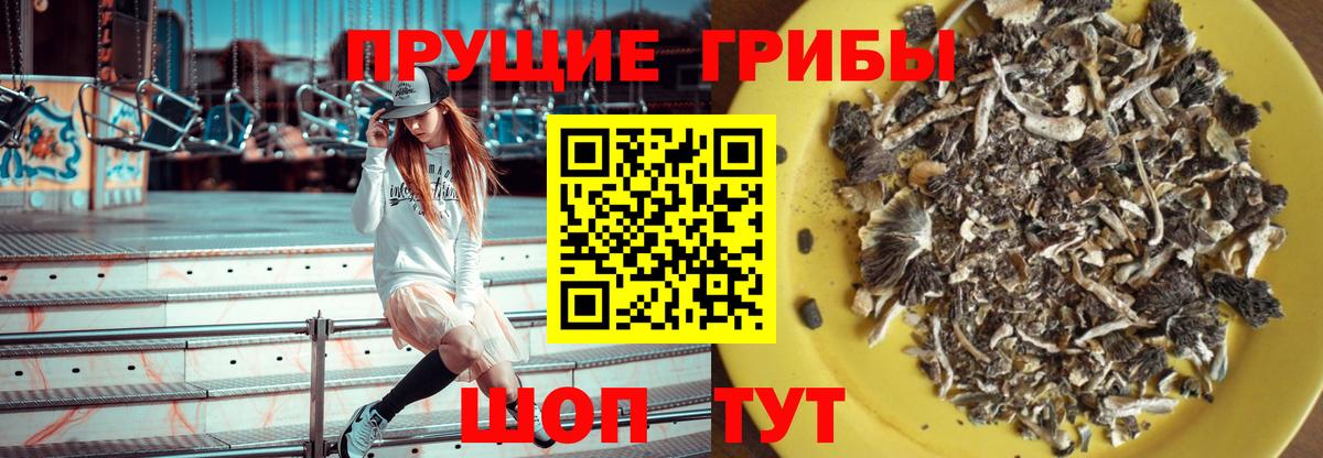 Псилоцибиновые грибы прущие грибы Ставрополь
