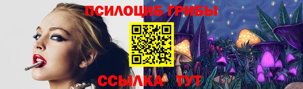 Ставрополь  Псилоцибиновые грибы мухоморы  Вход с VPN 