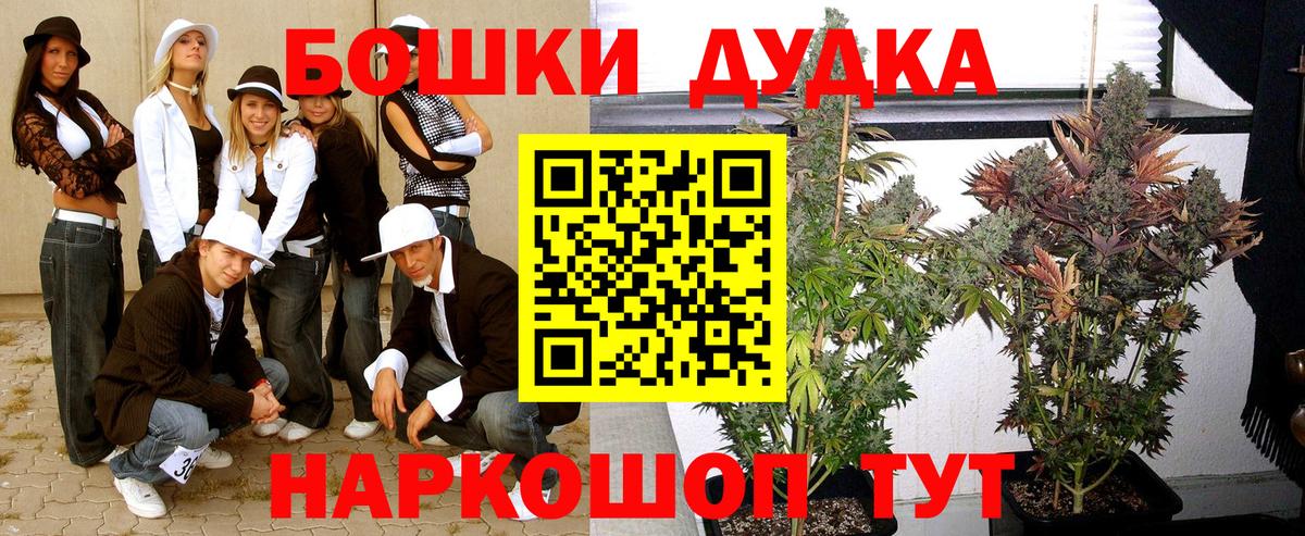 Каннабис план Ставрополь
